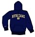 Notre Dame Fighting Irish Jansport Team Fleece Hoody
