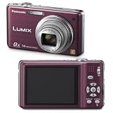 Panasonic Lumix DMC-FH20 14.1 MP Digital Camera with 8x Optical Image Stabilized Zoom and 2.7 inch LCD