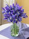 Blue Iris Bouquet
