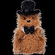 TY Beanie Baby - PUNXSUTAWNEY PHIL 2005 the Groundhog