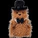 TY Beanie Baby - PUNXSUTAWNEY PHIL 2005 the Groundhog