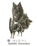 Belgian Sheepdog T Shirt - Print # A2454A