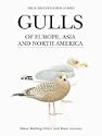 Gulls of