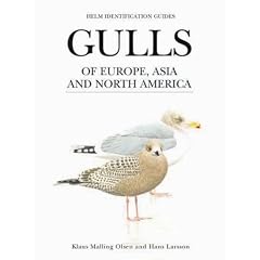 Gulls of Europe, Asia and North America (Helm Identification Guides)