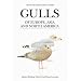 Gulls of Europe, Asia and North America (Helm Identification Guides) (Helm Identification Guides)