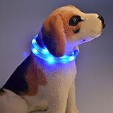 Dog Collar, Itery Led USB Rechargeable Pet Safety Collar Waterproof Light up Adjustable Flashing Collar (Blue)