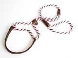 Mendota Twist Martingale Dog Leash (Color=Woodlands,Size=3/8 inch x 4 foot)