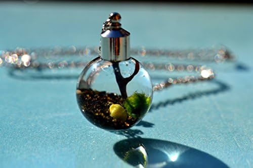 Green Tropic Live Marimo Moss Ball Terrarium Necklace - 101 % Natural Sand from Hawaii