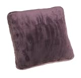 Review Brentwood 738790113661 / Brentwood Microplush 18-by-18-Inch Box pillow, Plum