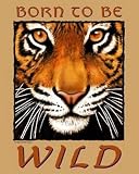 Tiger Eyes by Peter Kull Fine Art Print / Poster 16.00 x 20.00 in.