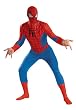 Deluxe Adult Spider-man Costume