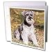   - Dogs Schnauzer - Schnauzer - Greeting Cards-12 Greeting Cards with envelopes