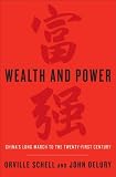 Wealth and power : China's long march to the twenty-first century