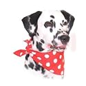 Dog Accessories - Bandana Red Polka Dot