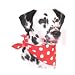 Alex Griffiths Cosipet Bandana Red Polka Dot