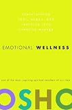 Emotional Wellness: Transforming Fear, Anger, And Jealousy into Creative Energy