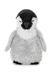 Baby Emperor Penguin