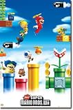 Nintendo Super Mario Bros Wii Pipes Video Game Poster Print - 24x36 custom fit with RichAndFramous Black 24 inch Poster Hangers