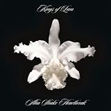 KINGS OF LEON - AHA SHAKE HEARTBREAK