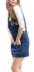 Spring Summer Fall Winter Denim  Dress