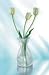 2 BLUMENVASE 