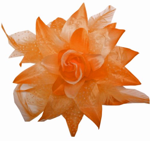 WD2U Dotted Flower Lily Alligator Hair Bow Clip & Brooch with Feather Accents