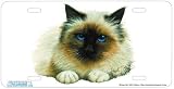 Birman Cat Art Print - License Plate Tag By Robert J. May From Airstrike