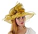 Sweet Tea Organza Derby Hat with with Ruffled Bow