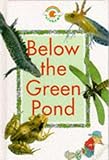 Below the green pond