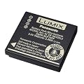 Panasonic DMW-BCF10PP Battery for Select Lumix Cameras