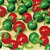 Chilli Pepper - Satans Kiss - 15 seeds