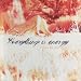 Everything is Energy (A Band by Chris Shinn)