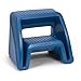 Simplay3 Handy Home 2-Step Plastic Stool 16 in. - Blue