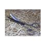 Mane & Tail Shears