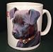 Patterdale Terrier Black DOG MUG