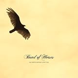 NO ONES GOING TO LOVE YOU [VINYL]