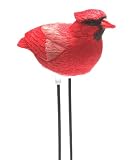 read full review Singing Cardinal - Plant Pal Soil Moisture Meter (Cardinal Sings When Plant Is Thirsty!)
