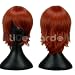 Short Brown Cosplay Wig The Prince of Tennis Rozen Maiden Costume Wigs wig party wig Wig