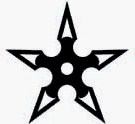 Putco 99921 Designer Body Art 7x7 Ninja Star