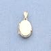 14kt Gold Locket