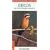 A Photographic Guide To Southern African Birds