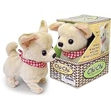 Buy Chi-Chi Chihuahua