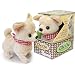 Chi-Chi The Chihuahua Puppy Walking Barking Dog