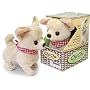 Chi-Chi The Chihuahua Puppy Walking Barking Dog