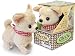   - Chi-Chi The Chihuahua Puppy Walking Barking Dog