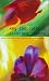 Book Key Concepts in Literary Theory