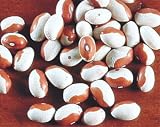 Butterscotch Calypso Beans, 1 lb. (2 - 8 oz. pkgs.)