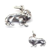 Lion Charm Sterling Silver Jewelry