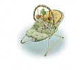 Fisher-Price Hoppy Days Bouncer