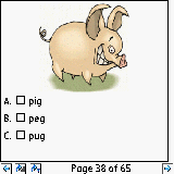  : Mobile Language Arts Module (5-6yrs.) downloadable Software